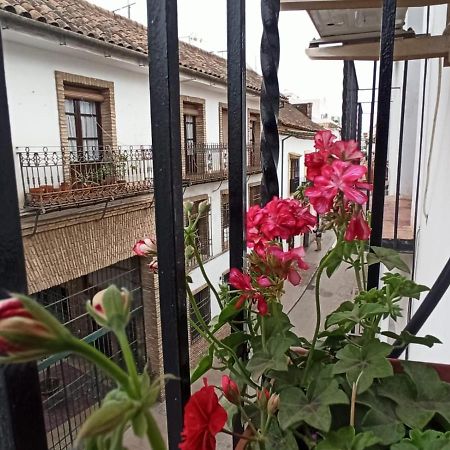 La Antigua Posada 33 Apartment Cordoba Exterior photo