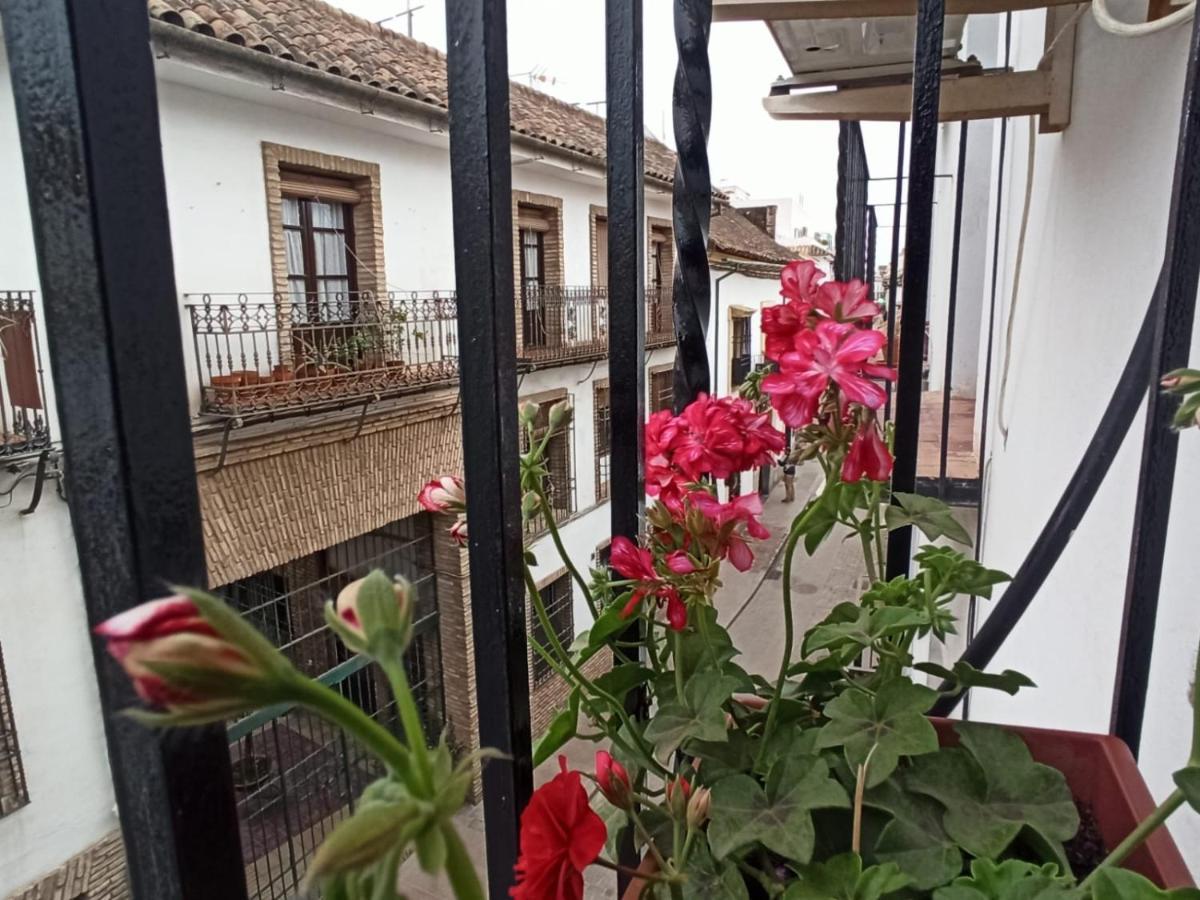 La Antigua Posada 33 Apartment Cordoba Exterior photo